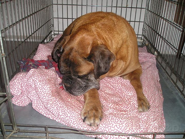 Spock 11 juli 2007 (4).JPG - .... staat mijn FLOS-bot er ook op ???